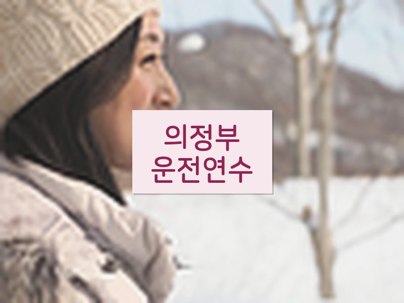 의정부운전연수 후기