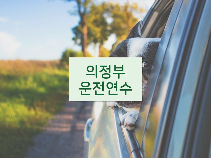 의정부운전연수 후기