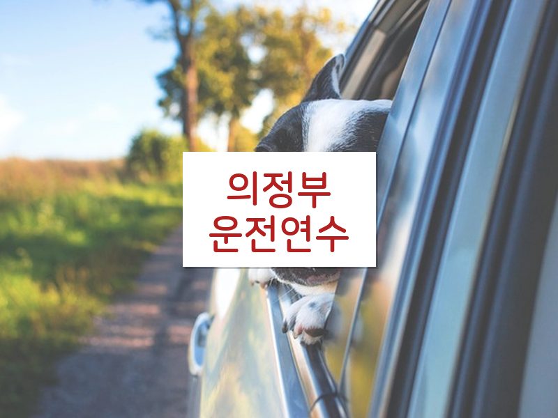 의정부운전연수 후기