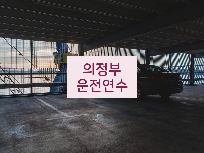 의정부운전연수 후기