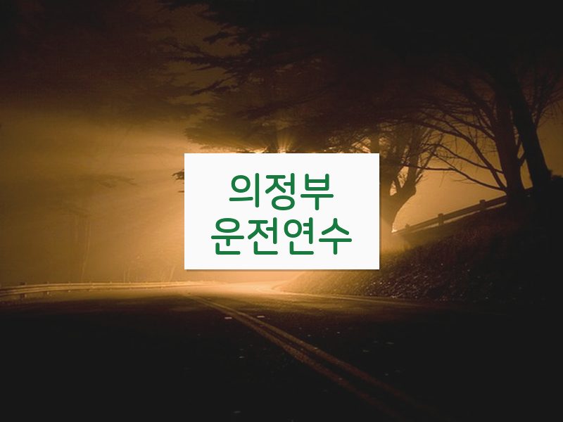 의정부운전연수 후기