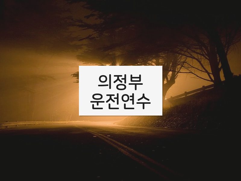 의정부운전연수 후기