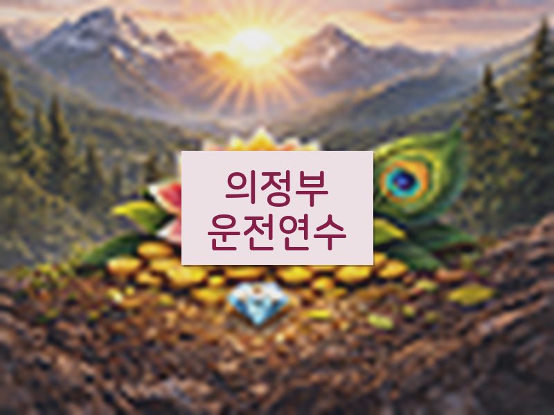 의정부운전연수 후기