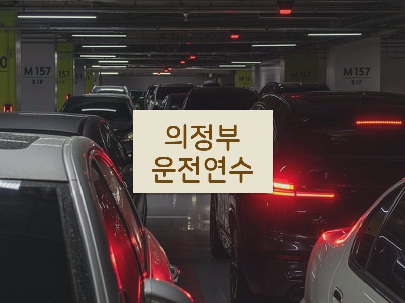 의정부운전연수 후기