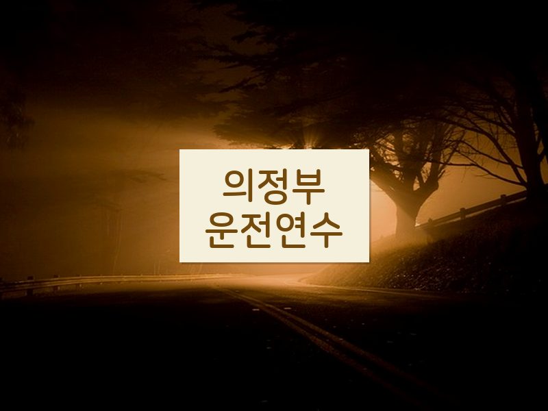 의정부운전연수 후기