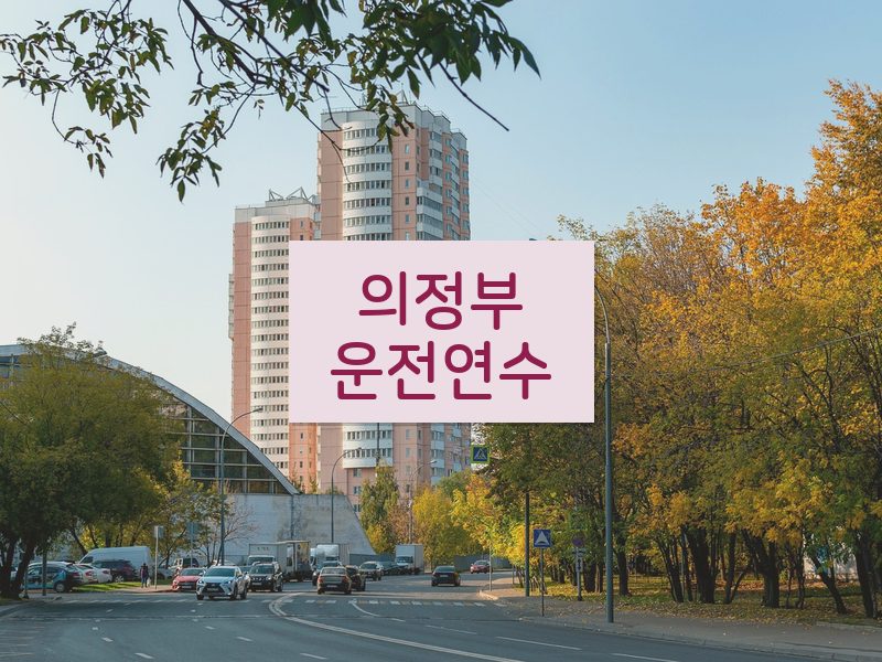 의정부운전연수 후기