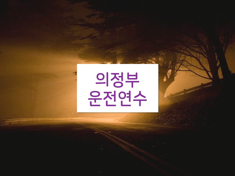 의정부운전연수 후기