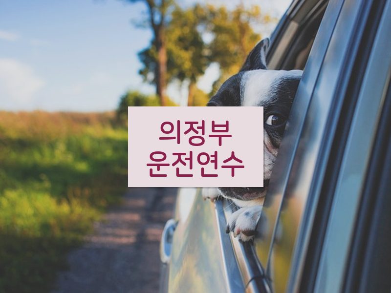 의정부운전연수 후기