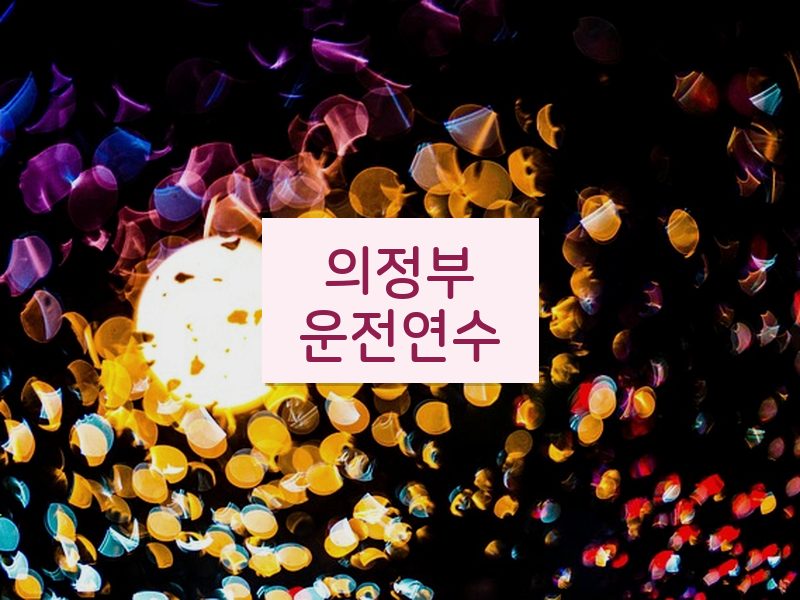의정부운전연수 후기