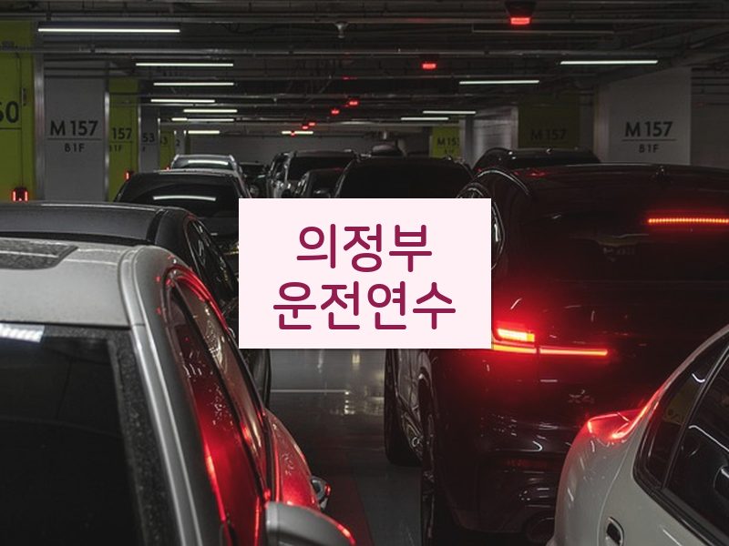 의정부운전연수 후기