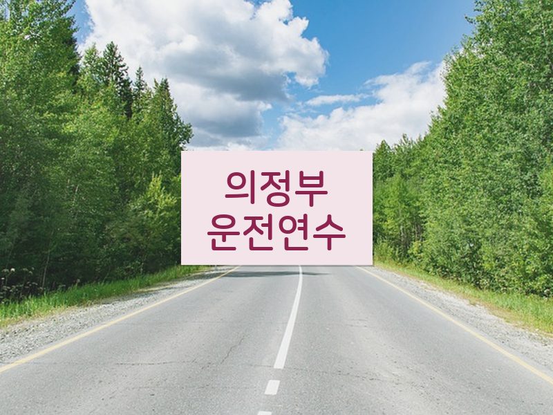 의정부운전연수 후기