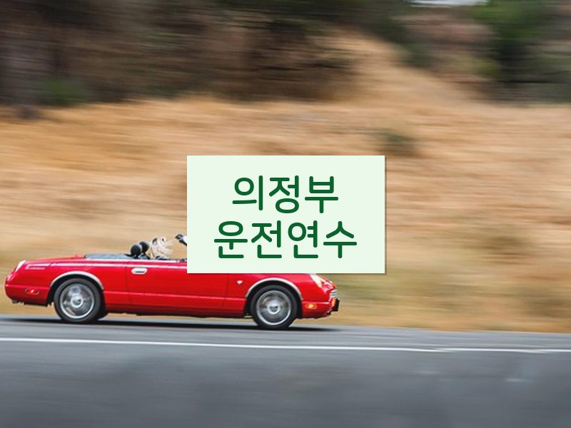 의정부운전연수 후기