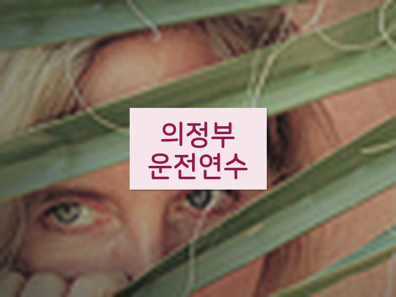 의정부운전연수 후기