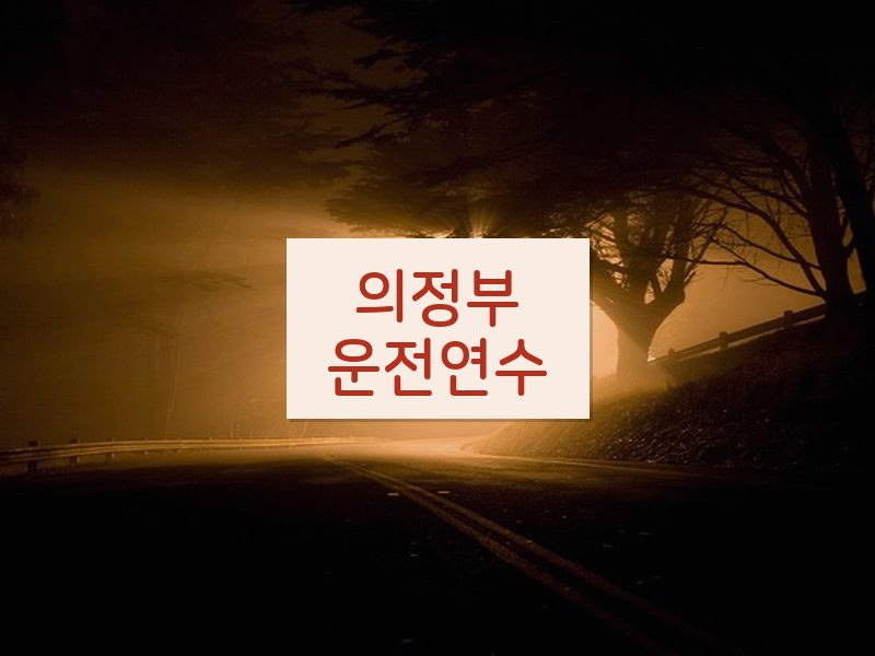 의정부운전연수 후기