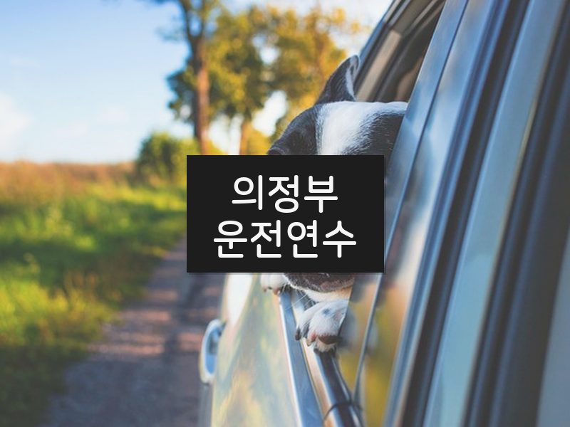 의정부운전연수 후기