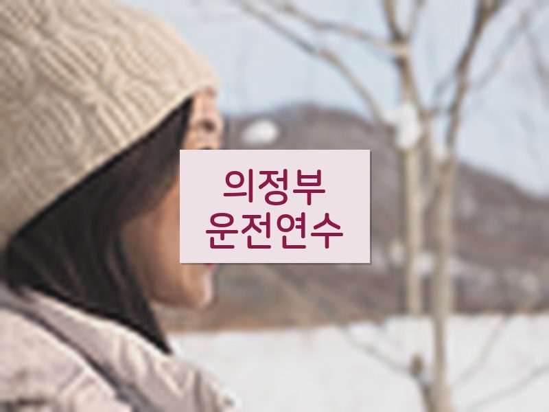 의정부운전연수 후기