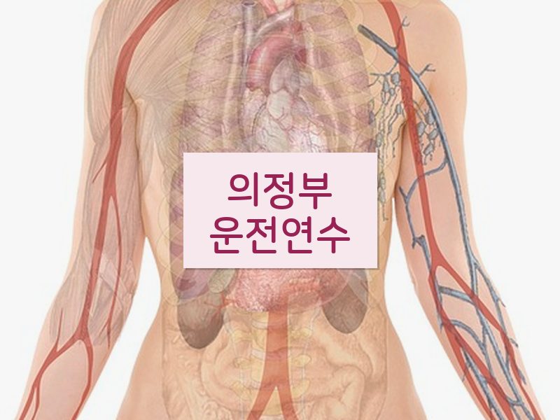 의정부운전연수 후기