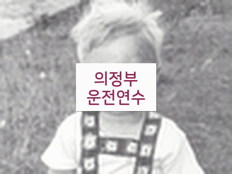 의정부운전연수 후기