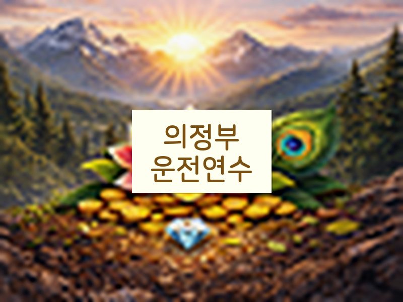 의정부운전연수 후기