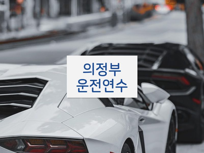 의정부운전연수 후기