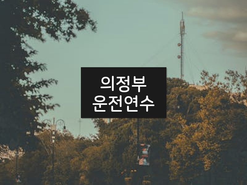 의정부운전연수 후기