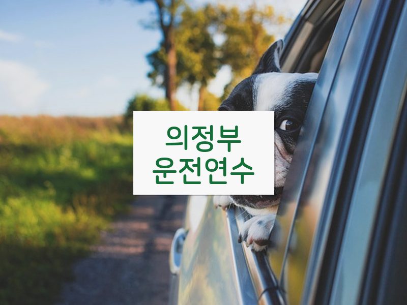의정부운전연수 후기