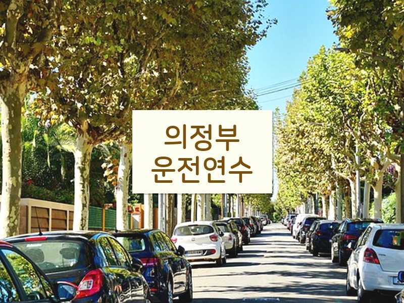 의정부운전연수 후기