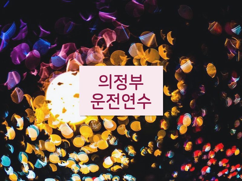 의정부운전연수 후기