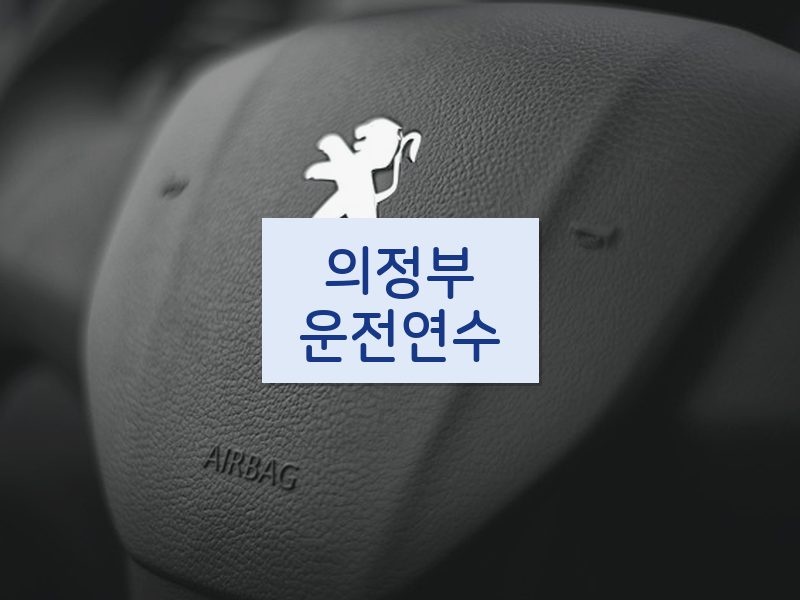 의정부운전연수 후기