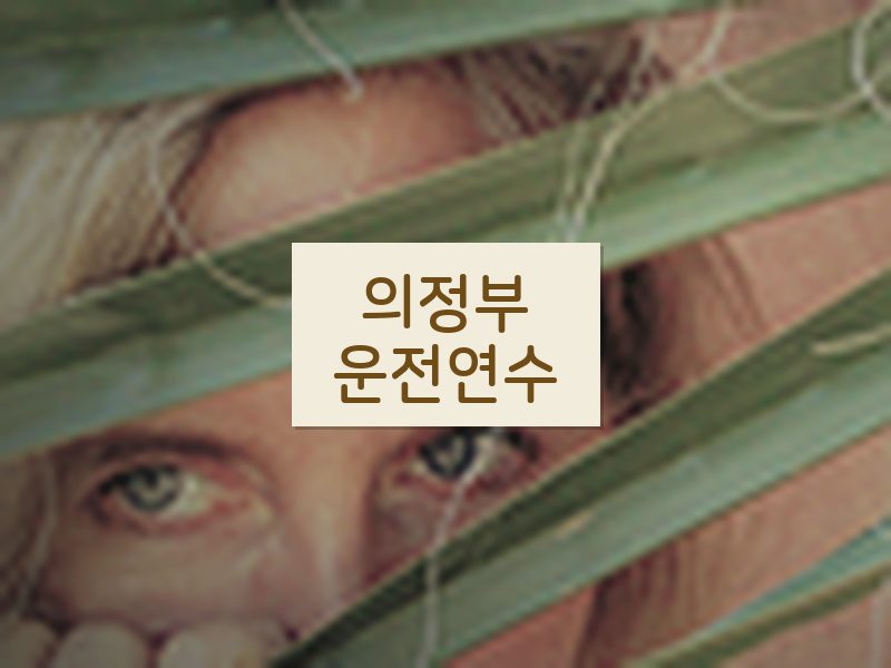 의정부운전연수 후기