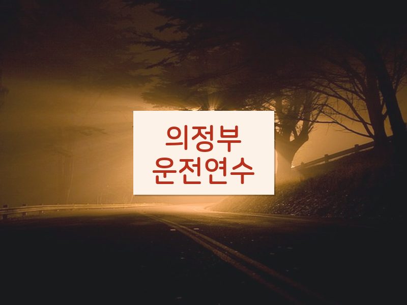의정부운전연수 후기