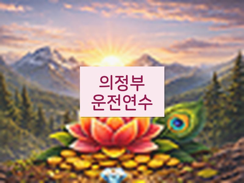 의정부운전연수 후기