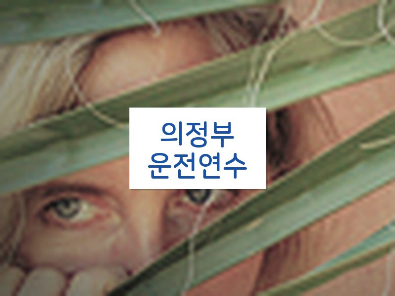 의정부운전연수 후기