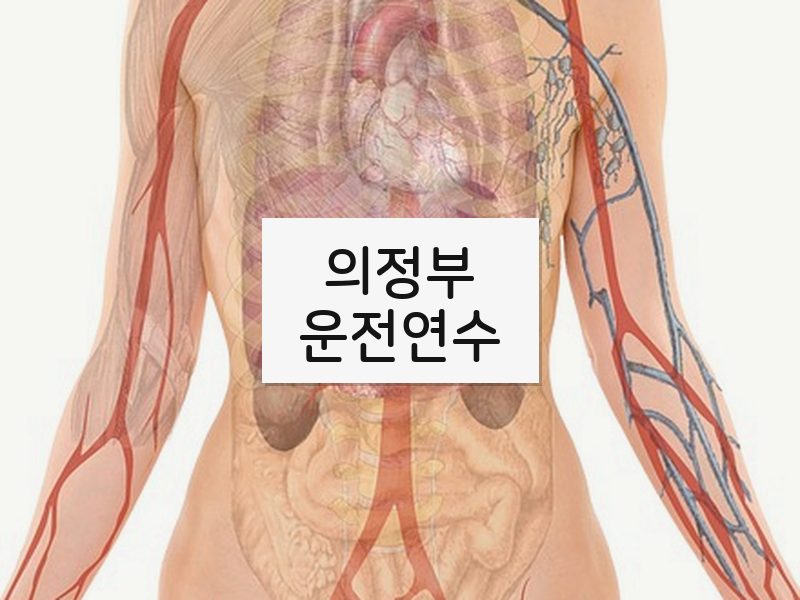 의정부운전연수 후기