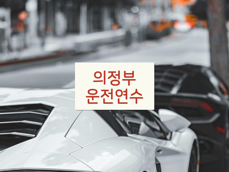 의정부운전연수 후기