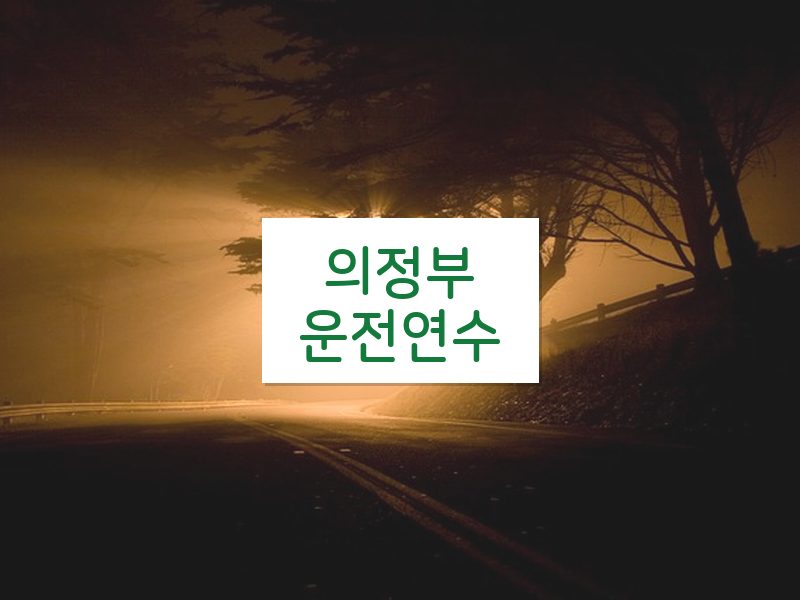 의정부운전연수 후기