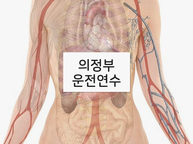 의정부운전연수 후기