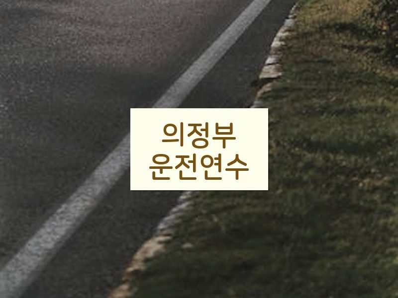 의정부운전연수 후기