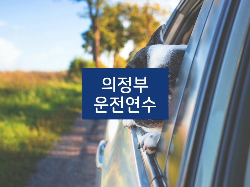 의정부운전연수 후기