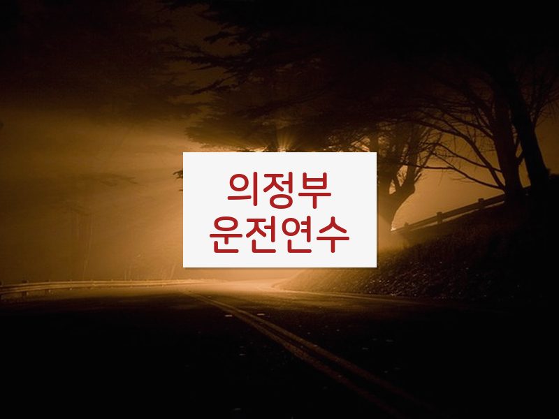 의정부운전연수 후기