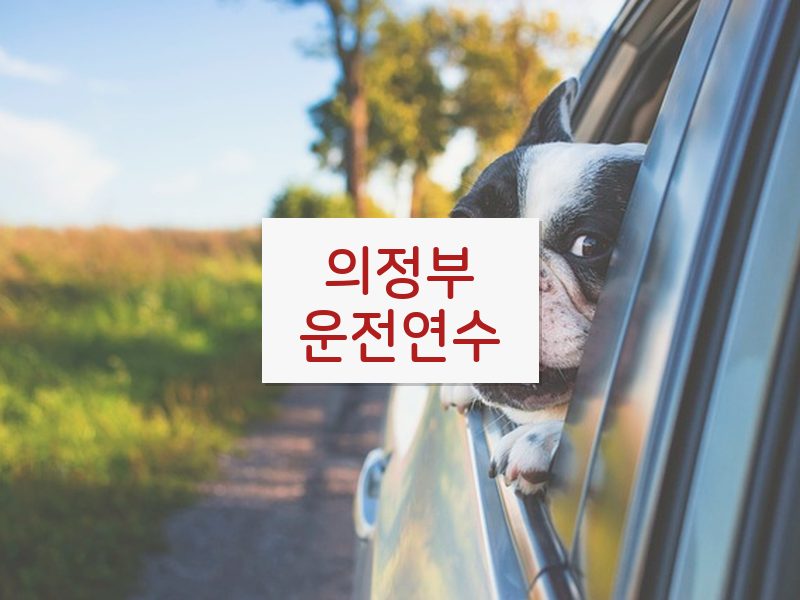 의정부운전연수 후기