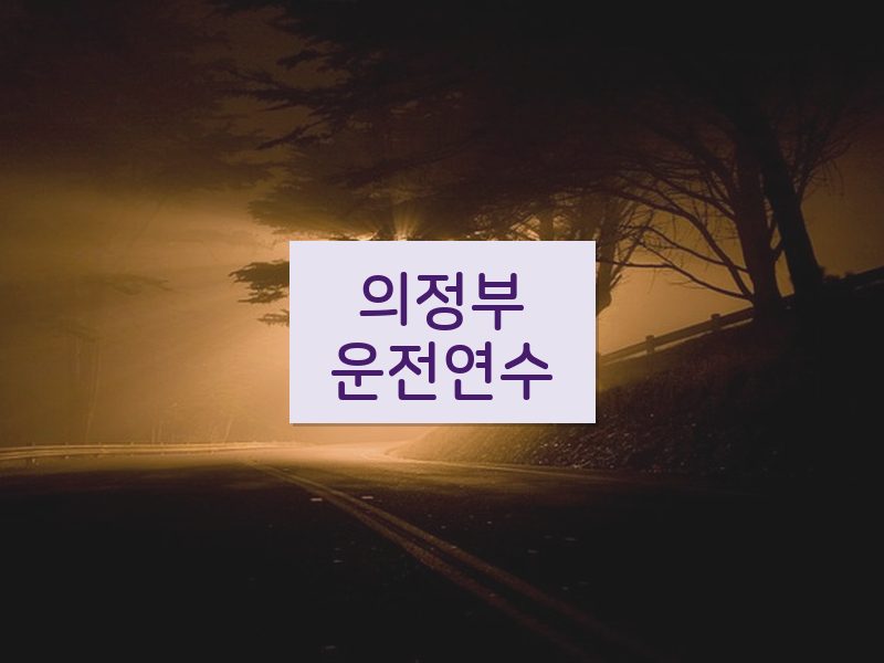 의정부운전연수 후기