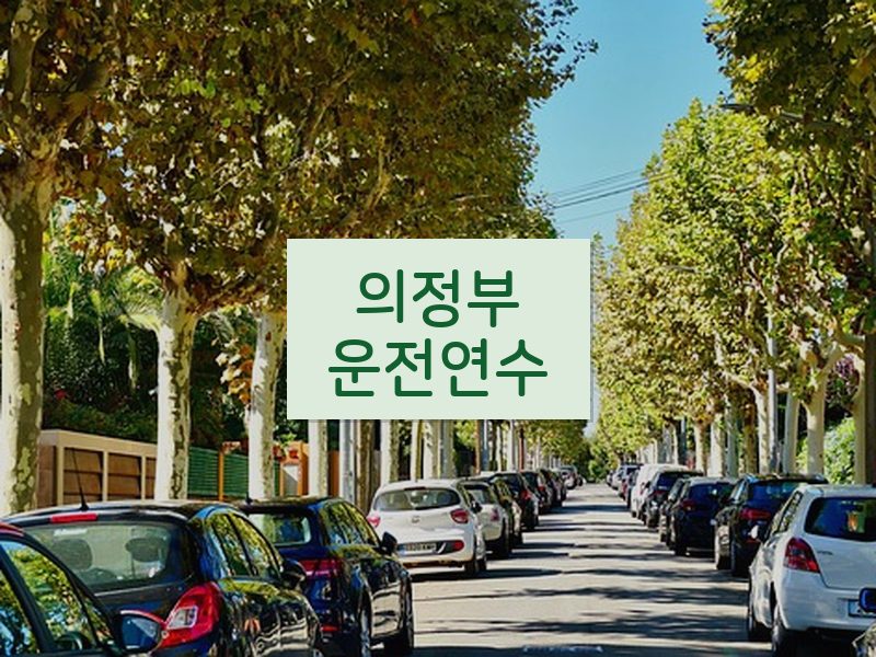 의정부운전연수 후기