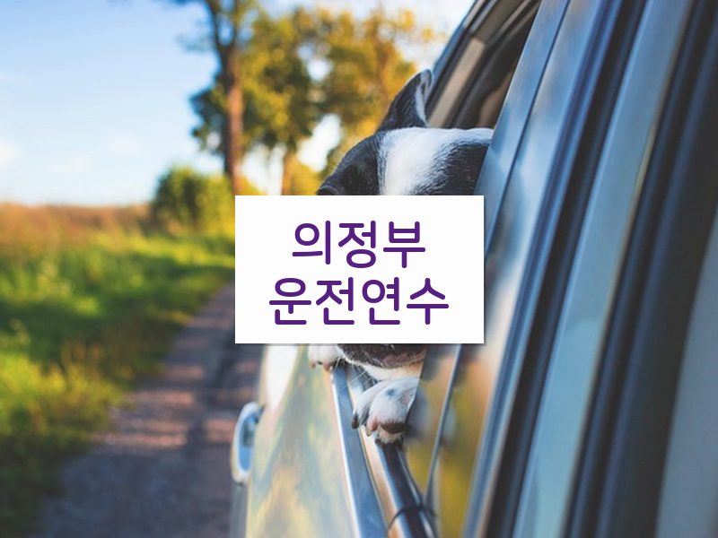 의정부운전연수 후기