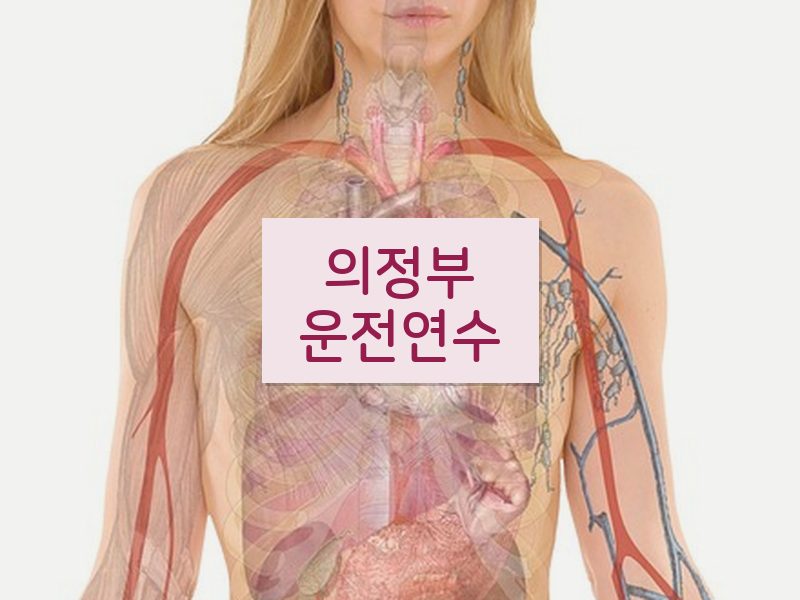 의정부운전연수 후기