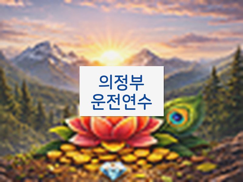의정부운전연수 후기