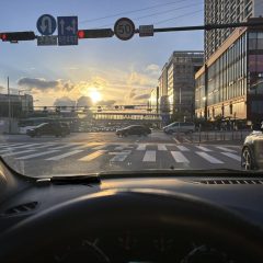 운전하는 내가 신기해요