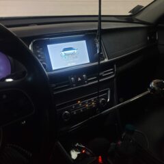 이동의 자유를 얻었어요