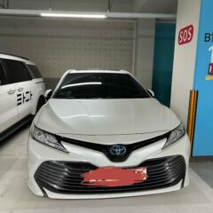 포기하지 않길 잘했어요