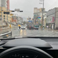 장롱면허 직장인 후기